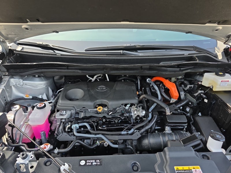 2025 Toyota Sienna LE