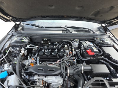 2023 Honda Accord Sedan EX