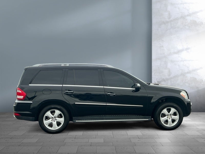 2010 Mercedes-Benz GL-Class GL 450