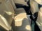 2016 Toyota AVALON Limited