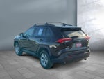 2025 Toyota RAV4 Hybrid Hybrid XLE